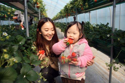 양수리 딸기체험농장을 방문한 LIG넥스원 신입사원이 한사랑장애영아원 아이와 즐거운 시간을 보내고 있다. ⓒ LIG넥스원