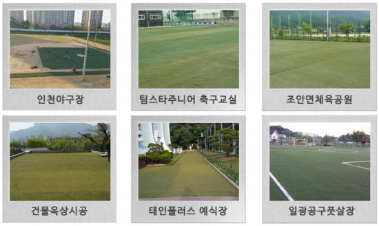 희망나눔플러스는 공공기관은 물론, 청년사업가 육성을 위해 중고인조잔디를 무상으로 제공하고 있다. ⓒ 희망나눔플러스