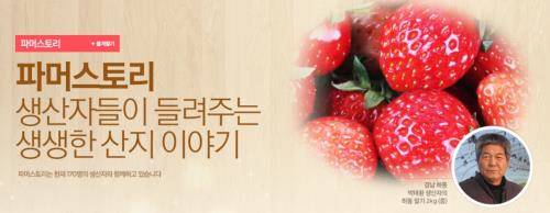 옥션은 지난 2014년 '파머스토리'를 론칭, 생산자들의 산지 이야기를 담고 있다. ⓒ 옥션