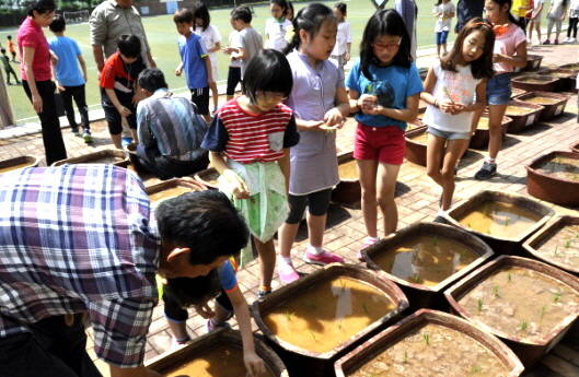전농초등학교 학생들이 모내기부터 수확까지 벼농사 전 과정을 직접 경험하고 있다. = 임재덕 기자