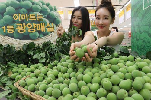 26일 오전 서울 한강로 이마트 용산점에서 모델들이 제철 맞은 광양산 햇매실을 선보이고 있다. ⓒ 이마트