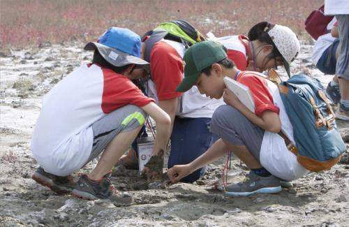 지난달 송도 저어새섬에서 진행한 2차 프로그램 참가 대원들이 탐사하고 있다. ⓒ 한국 코카-콜라