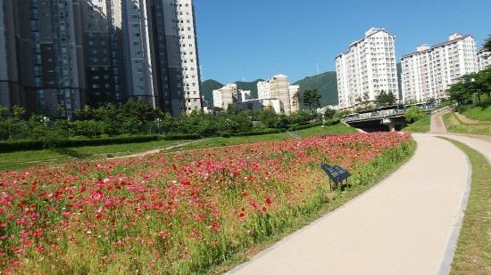 기적의 좌광천 '건강30리길'. ⓒ 프라임경제
