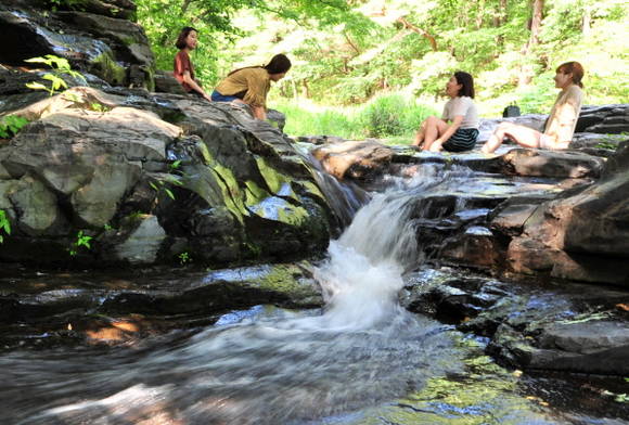 날씨가 덥기 때문에 시원한 계곡을 찾아가는 사람들이 많습니다. 그런데 계곡물 속에는 우리가 눈으로 볼 수 없는 아주 작은 생물이 많이 있습니다. 세균이나 바이러스 같은 것들인데, 사람 몸을 아프게 할 수도 있습니다. ⓒ 뉴스1