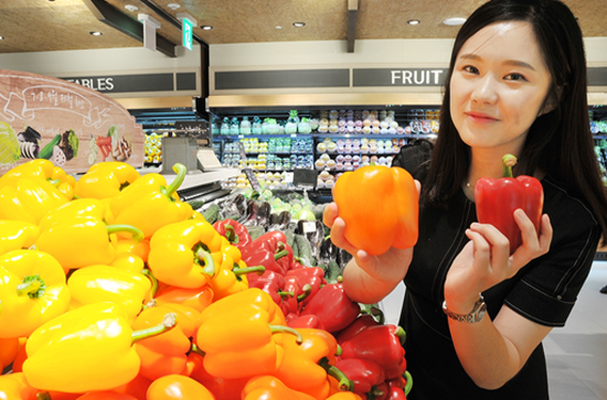 롯데백화점 대구에서 비타민 가득한 파프리카 선보였다. ⓒ롯데백화점 대구