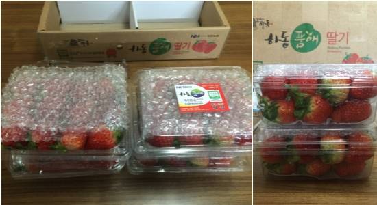 옥션 파머스토리를 이용해 구매한 하동 딸기. 딸기 사이사이 포장재를 넣어 무르지 않고 신선하게 배송됐다. = 백유진 기자