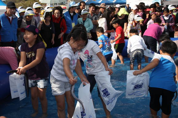 삼천포항 수산물축제에서 맨손 붕장어잡기 대회가 열리고 있다. ⓒ 사천시