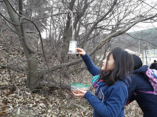 초막골생태공원에 새 모이통을 달고 있는 어린이. ⓒ 군포시