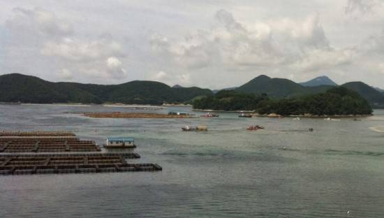 바다 음식을 기르는 양식업을 하다 보면 바다가 더러워지기도 하는데, 경상남도는 바다를 깨끗하게 하면서 양식업을 할 수 있도록 노력하고 있어요. ⓒ 경상남도
