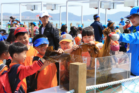 ⓒ완도국제해조류박람회