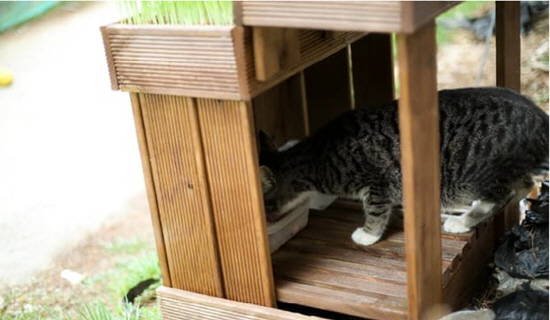 길고양이 급식 시설. 자료사진. ⓒ 성남시