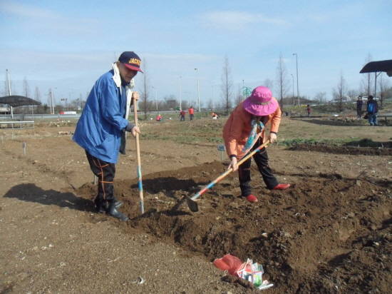 가족과함께 나온 어르신들이 성남시민농원 주말 농장서 텃밭을 일구고 있다. ⓒ 성남시
