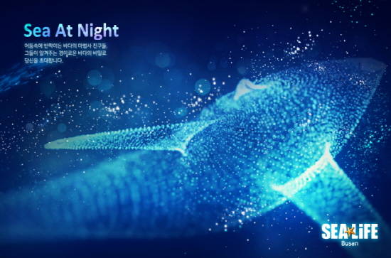 SEA LIFE 부산아쿠아리움에서 '씨 앳 나잇' 전시존을 오픈한다. ⓒ SEA LIFE 부산아쿠아리움