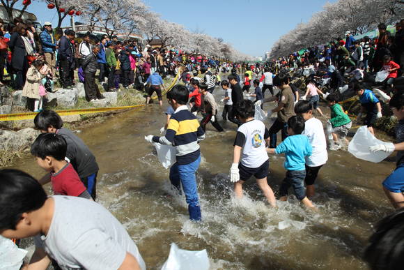 장어잡기대회 장면. ⓒ 금산군