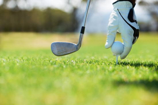 최근 무기명 유사 회원권의 인기가 높아진 상태지만 그 인기를 악용해 수백억, 수천억원대의 무기명 유사회원권 사고가 터지면서 업계에 찬물을 끼얹는 사태가 지속적으로 발생하고 있다. ⓒ 구글 이미지 캡처