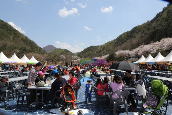 축제 현장. ⓒ 금산군