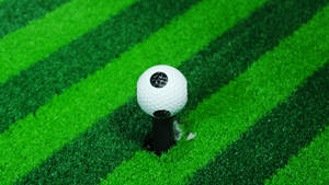 마음골프 피팅센터에서 사용하는 모든 볼은 티업비전 초고속카메라 센서가 감지할 수 있는 마킹볼을 사용하고 있다. = 김경태 기자