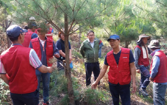 양평군이 올해초부터 나무와 숲을 경제적으로, 환경적으로 더 중요한 역할을 할 수 있는 자원으로 키우고, 맑고 깨끗한 생활환경을 조성하기 위한 숲가꾸기 사업을 진행하고 있어요. ⓒ 양평군