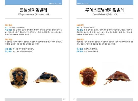 딱정벌레 도감에는 형태특징, 생태특징, 분포 등이 수록돼어 있다. ⓒ 국립중앙과학관