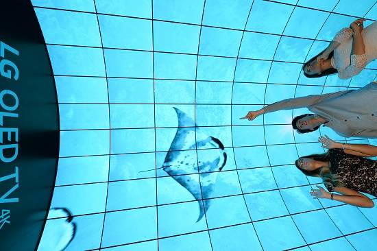 LG전자가 이번 전시에서 선보인 OLED 터널. ⓒ LG전자