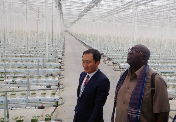 지난 5일 찰스 오켈로 마코드워고 우간다 국방국무장관 부여군 우듬지팜 농업회사법인 스마트팜 원예단지를 찾아 살피고 있다. ⓒ 부여군청