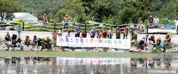 지난 7일 진행됐던 생태계 교란 식물 제거 작업 및 고유어종 방류 활동 모습. ⓒ 서산시청
