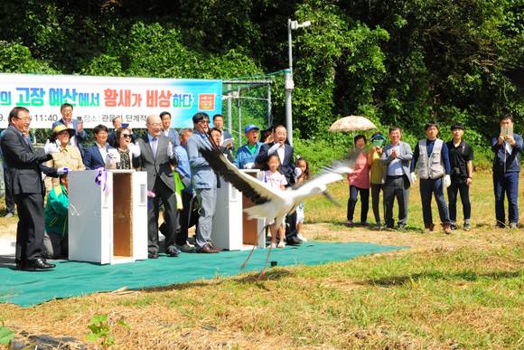 사진은 광시면 관음리 방사장에서 성조 2마리 방사 모습. ⓒ 예산군청
