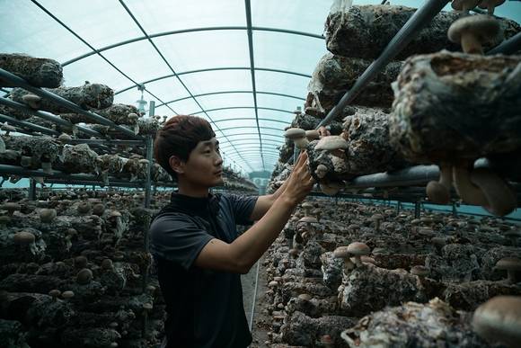 지난해 청년농업인경쟁력 제고 사업으로 추진한 삽교읍 박상윤 농가의 표고버섯 재배농장 사진. ⓒ 예산군청