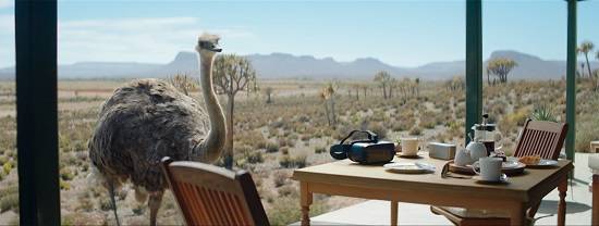 삼성전자의 갤럭시 브랜드 광고 타조의 꿈이 클리오 광고제에서 7개의 상을 받았다. ⓒ 삼성전자