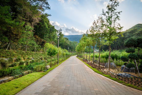 무궁화 수목원 전경. ⓒ 보령시청