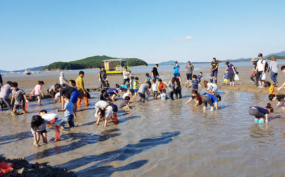 지난해 열린 서산뻘낙지먹물축제. ⓒ 서산시청