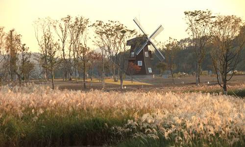 순천만 국가정원 풍경. ⓒ 순천시
