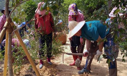 지난해 조성된 호명생태하천 숲. ⓒ 여수시