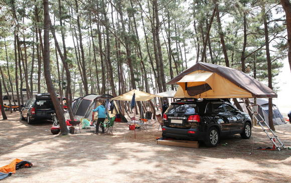 몽산포에서 캠핑을 즐기는 관광객들 모습이다. ⓒ 태안군청