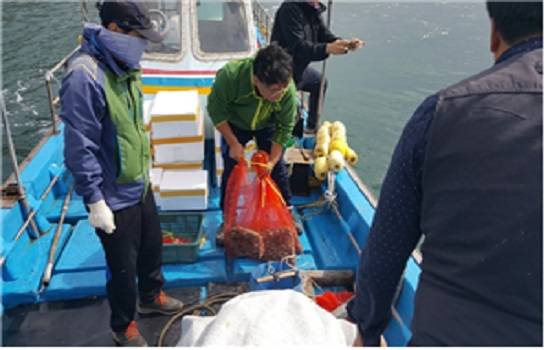 선박으로 이동 후 방류하고 있다. ⓒ 전북도