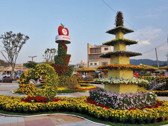 예산장터 삼국축제가 개최되는 백종원국밥거리가 다양한 국화로 꾸며졌다. ⓒ 예산군청