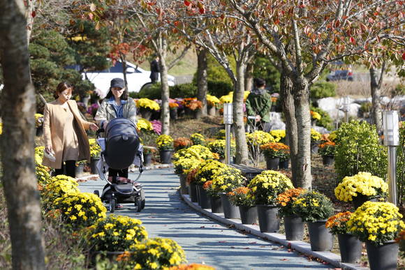 지난해 국화향기 나눔전 모습. ⓒ 태안군