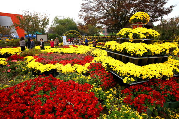 지난해 국화전시회에서 관람객들이 국화를 구경하고 있다. ⓒ 당진시청