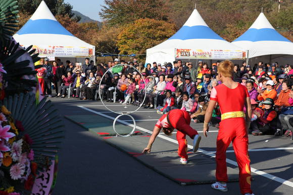 성주단풍축제에서 곡예 예술단 공연을 하고 있다. ⓒ 보령시청