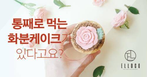 펀딩포유 새해 첫 후원형 프로젝트 엘로코 'DIY 화분 컵케이크'. ⓒ 펀딩포유