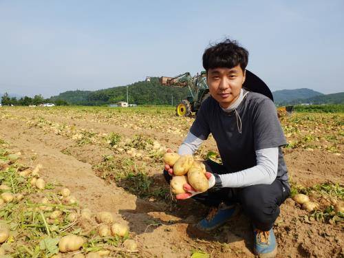 경상북도 상주시에서 하지 감자 농사를 짓는 김의종씨(38). ⓒ CJ프레시웨이