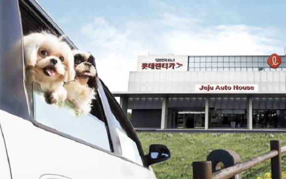 롯데렌터카가 반려동물과 같이 타는 렌터카인 '펫카'를 우리나라에서 가장 처음으로 내놨어요. ⓒ 롯데렌터카