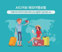 ⓒ AIG손해보험