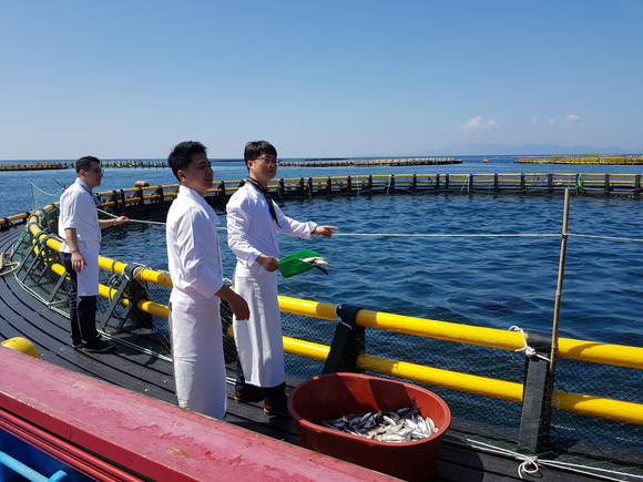 지난해 초 '온 더 플레이트' 셰프들이 최고급 식자재로 알려진 활참치를 구하러 경남 욕지도를 찾았다. ⓒ 파라다이스호텔 부산