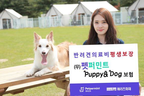 메리츠화재가 국내 최초 장기 펫보험 '(무)펫퍼민트 Puppy&Dog보험'을 오는 15일 출시한다. ⓒ 메리츠화재