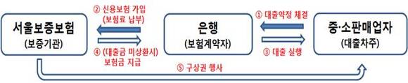 보증보험 상품개발(안). ⓒ 금융감독원