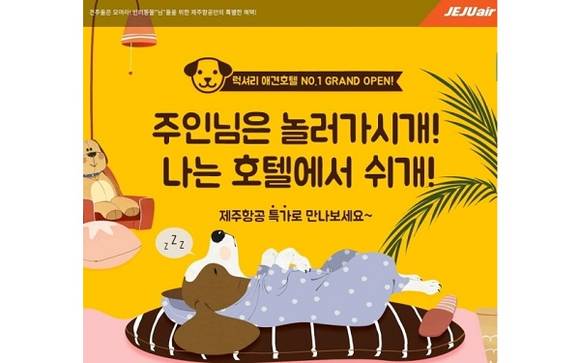 사진설명 1. ▲제주항공은 가정에서 기르는 개인 '반려견'을 두고 여행을 가는 손님을 위해 10월부터 애견호텔 이용하는 돈을 깎아주는 서비스를 시작한다고 말했어요. ⓒ 제주항공