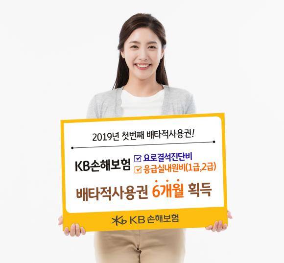 KB손해보험의 '요로결석진단비' '응급실내원비(1·2급)'가 배타적사용권을 획득했다. ⓒ KB손해보험