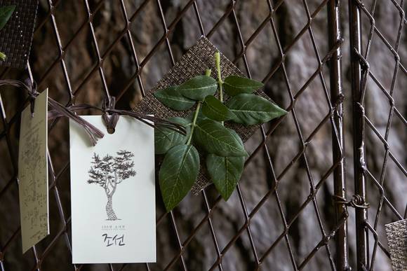 부산 웨스틴조선호텔은 내달 1일부터 기해년 복을 기원하는 ‘多 돼지’ 객실 프로모션과 함께 ‘소원나무 이벤트’를 진행한다. ⓒ 부산 웨스틴조선호텔