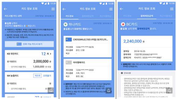'내 카드 한눈에' 모바일 서비스 이미지컷. ⓒ 금융감독원
